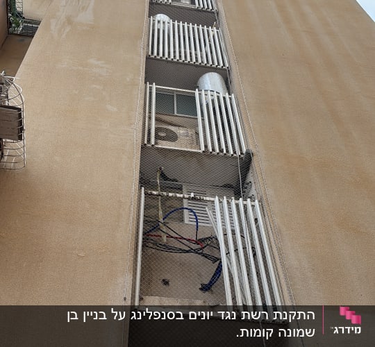אדם מטפס על קיר בניין עם רשתות למניעת יונים